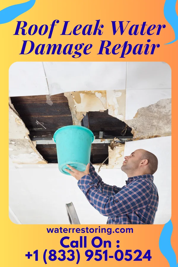 Roof Leak Water Damage Repair in Eden, TX